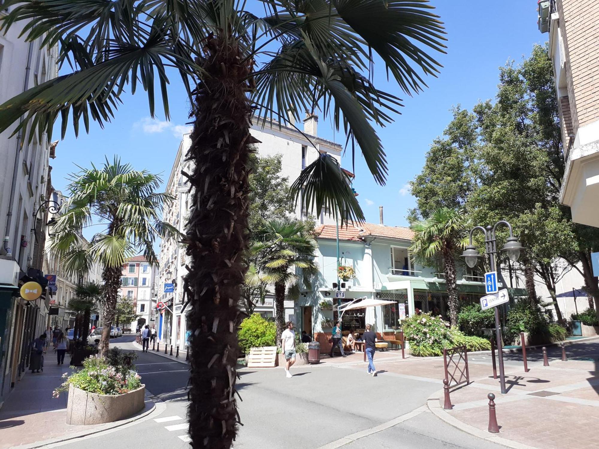 Maison Individuelle Avec Terrasse Nogent Sur Marne Extérieur photo